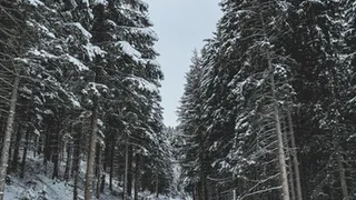 О погоде в Рязани - синоптики прогнозируют в выходные снег и слабый мороз