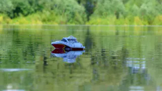 Instagram рязанцев: совсем ручной акита, балдеющий попугай, маленький кораблик