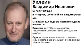 В Собинском районе пропал 66-летний мужчина в серой кофте и синих джинсах