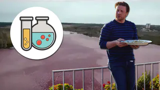 Ликбез по химии от Джейми Оливера: почему под Рязанью покраснело озеро и что это значит