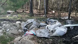 Суд обязал власти ликвидировать километровую свалку в лесу Петушков