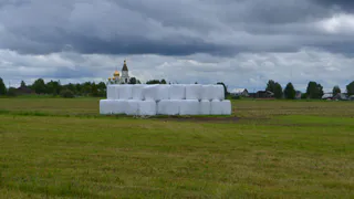 Минсельхоз Коми предупредил о серьёзных последствиях хождения и катания по полям