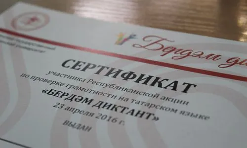 «Бердэм диктант» написали на «отлично» 95 человек