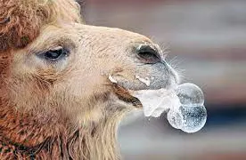 В России начнут штрафовать за плевки