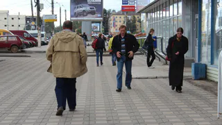 МЧС предупреждает: в первый день лета в Рязани будут заморозки