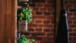 Вертикальные грядки: преимущества и недостатки для вашего огорода