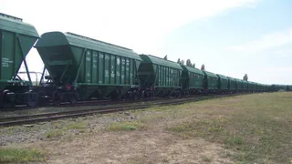 Брянщина бьёт рекорды по вывозу зерна за границу