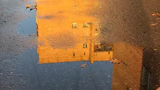 В понедельник в Рязани потеплеет до +6 градусов