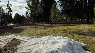 Стало известно, когда в Рязанской области потеплеет