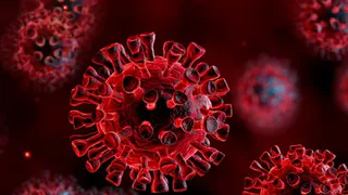 В Брянской области за сутки было подтверждено 82 случая Covid-19