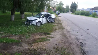 В Ермише 25-летний водитель врезался в дерево. Пострадала 17-летняя пассажирка