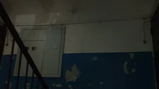 Света? Нет-нет, не видели, не знаем!