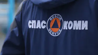 Пожары, утечки газа, поиск заблудившихся: "СПАС-КОМИ" опубликовал статистику года