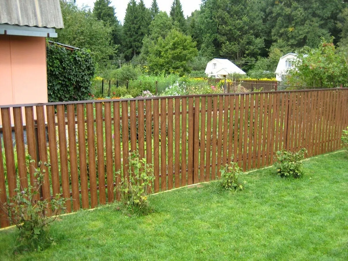 "Прощай, жесть!": как превратить забор в зелёный ковёр без полива и стрижки