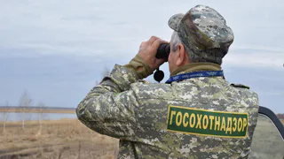 Браконьеры Челябинской области возместили государству 4 миллиона рублей за незаконную охоту 