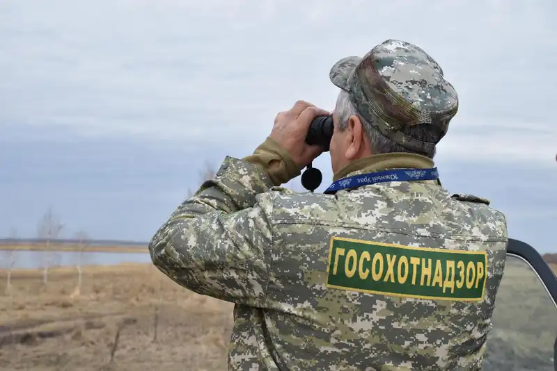 Браконьеры Челябинской области возместили государству 4 миллиона рублей за незаконную охоту