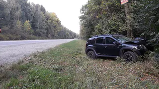 Под Рязанью "Рено" влетел в дерево, есть пострадавшие