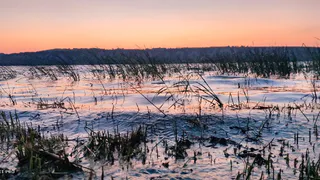 Тело пропавшей 73-летней рязанки нашли в водоеме