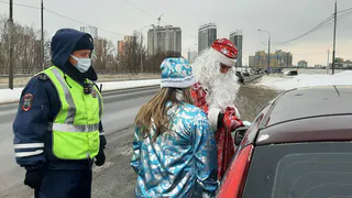 Волшебник в погонах: на дорогах Рязани дежурит «Полицейский Дед Мороз» 