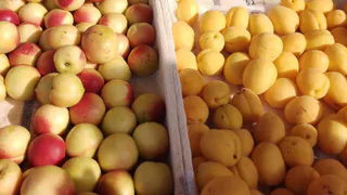 Челябинская область остановила ввоз 80 тонн фруктов