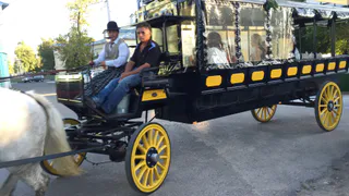 5 крутых автомаршрутов выходного дня - мнения рязанцев