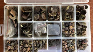 Владимирца осудили на полтора года за незаконные раскопки старинных монет по области