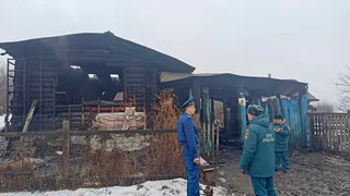 Прокуратура проверяет обстоятельства гибели ребенка на пожаре в Челябинской области