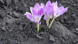 Весна идет! В Татарстане потеплеет до +5° С