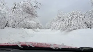 "Май подложит нам всем свинью": синоптики прогнозируют одно из сильнейших похолодание весной