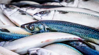 Простой способ солить селёдку без рассола: кладу в контейнер — и забываю. Через день рыбка нежная и ароматная