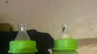 В Кольчугине полуторагодовалый малыш воспитывался в полной антисанитарии