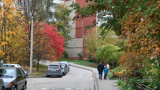 Новый график для россиян: уже осенью суббота станет рабочей