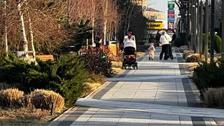 Судьба этого знака решится весной 2025 года: Володина назвала проверку, которая изменит их жизнь