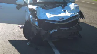 В Рязанской  области водитель KIA Rio сбил лося