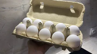 Лотки от яиц спускаю в погреб — и всю зиму слезы счастья утираю: нужны не для хранения урожая — потрясающий эффект