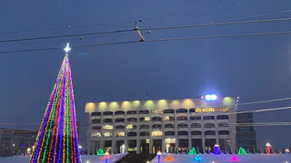 Возле Белого дома во Владимире установили самую высокую в регионе елку