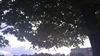 27 июля в Рязанской области ожидается порывистый ветер и до +8