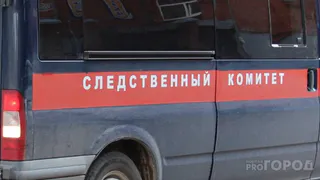 В Коми задержали мужчину за разбойное нападение на несовершеннолетнюю