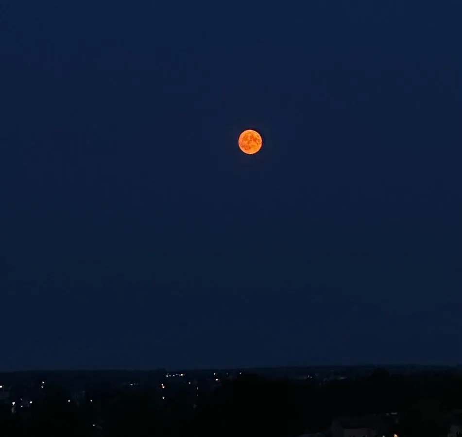 Астрологический прогноз: какие знаки Зодиака ждет финансовый успех до конца июня