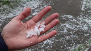 На Рязань надвигаются заморозки: когда ждать?