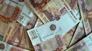 Преступники похитили у несовершеннолетней девочки в Рязани 220 тысяч рублей