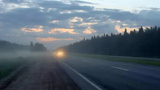 Туман накроет Рязанскую область 11 декабря