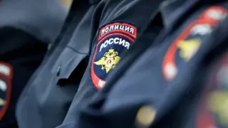 В Пензенской области полиция раскрыла более 200 экономических преступлений за год