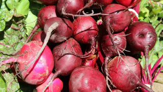 Сочная свекла за 15 минут? Это реально! Раскрыт кулинарный секрет, о котором молчат повара