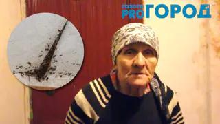 Эффект Pro Города: через 2 дня после публикации, жильцам дома с полчищами тараканов на Пугачева пообещали провести санобработку