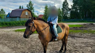 В Александрове осудят жительницу Подмосковья за травму ребенка во время конной прогулки