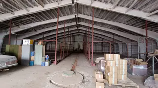 Приют для животных переедет на окраину Рязани в ангар без отопления