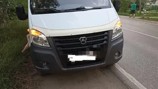 В Рязанской области маршрутка сбила пешехода на переходе
