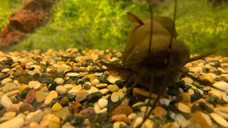 Жителей Коми оштрафовали за ловлю рыбы сетями и нанесенный ущерб