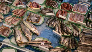 Определена питательная рыба: употребляйте дважды в неделю, изобилует селеном, фосфором и отличается насыщенным вкусом